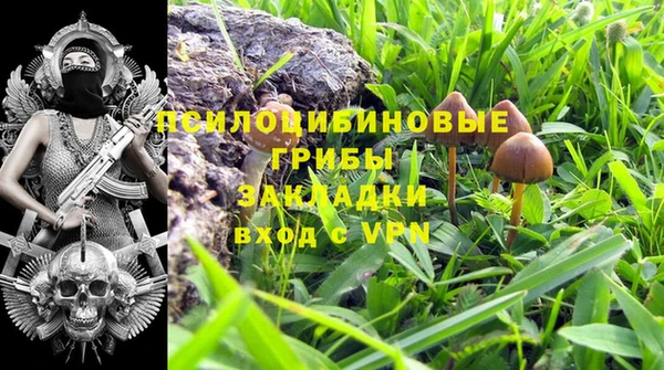 jwh Алзамай