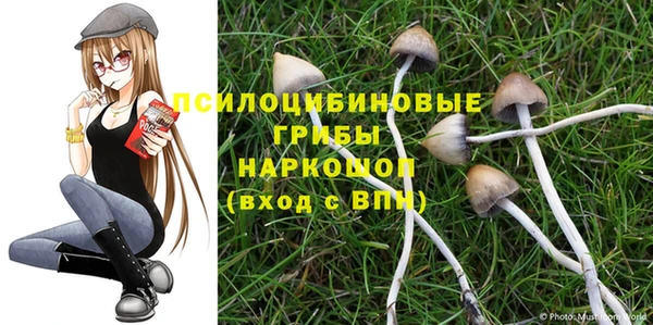 герыч Алексеевка
