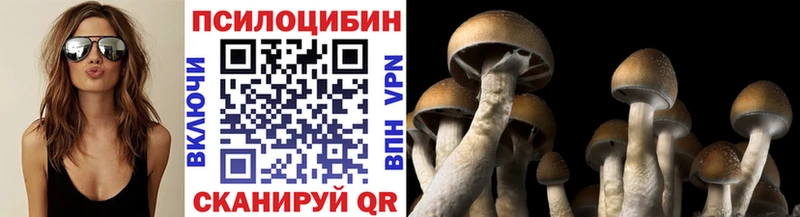 blacksprut ONION  что такое   Макушино  Галлюциногенные грибы MAGIC MUSHROOMS 